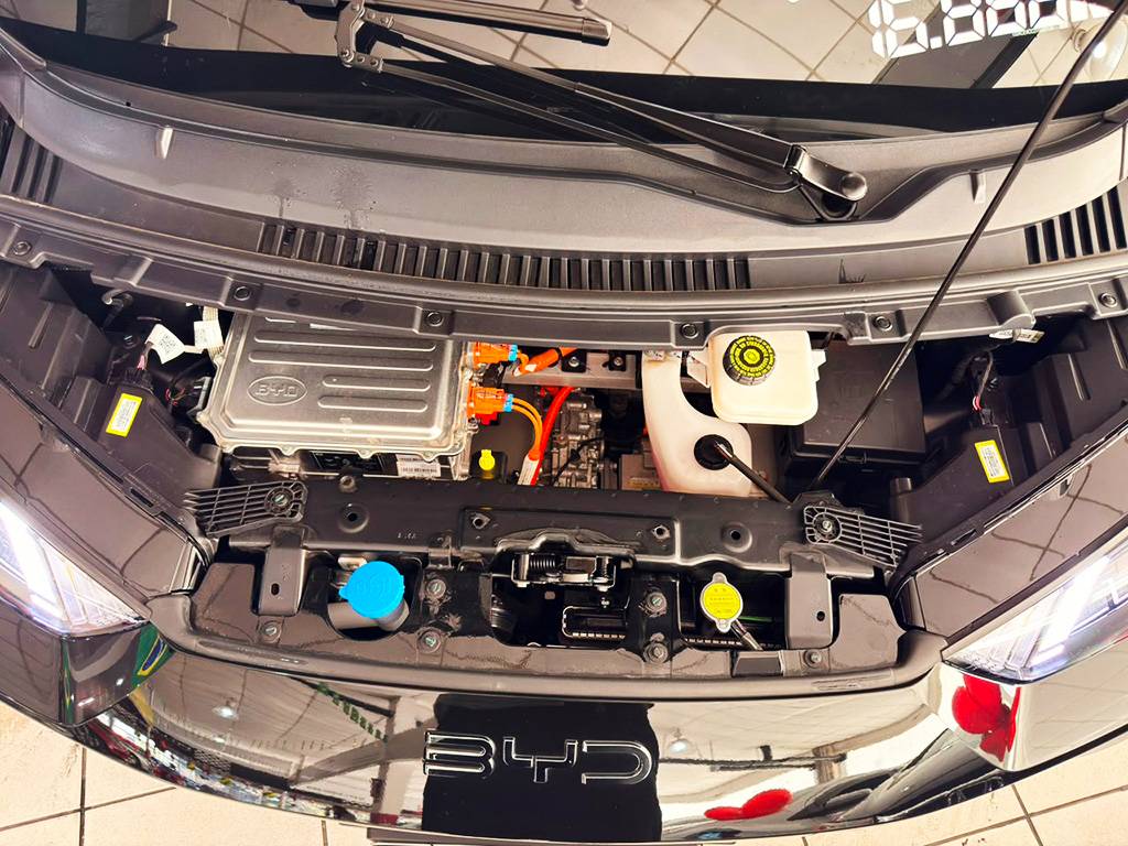 BYD DOLPHIN MINI