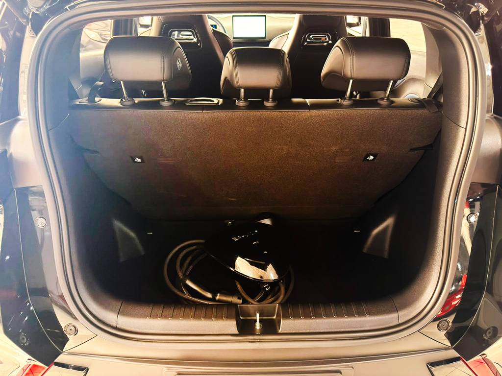 BYD DOLPHIN MINI