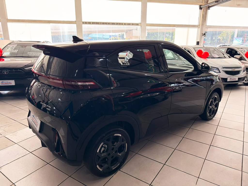 BYD DOLPHIN MINI