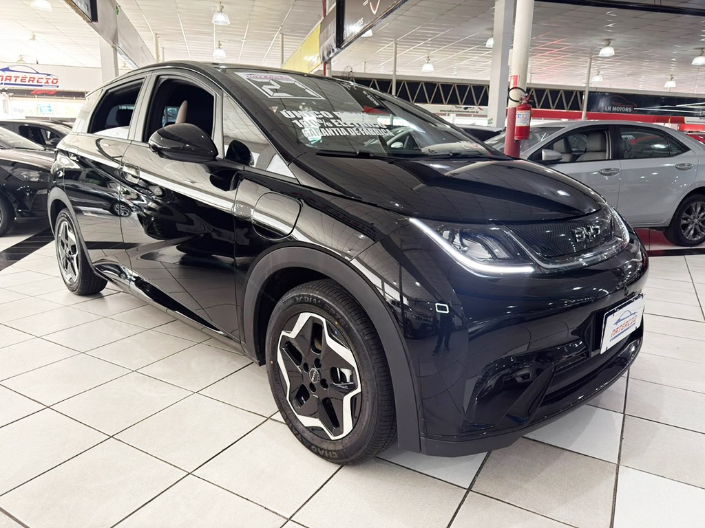 BYD DOLPHIN