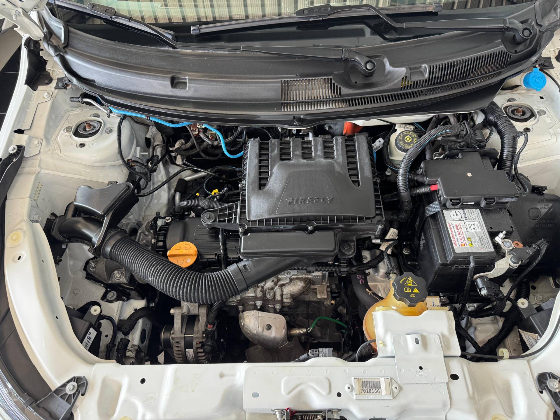 FIAT ARGO