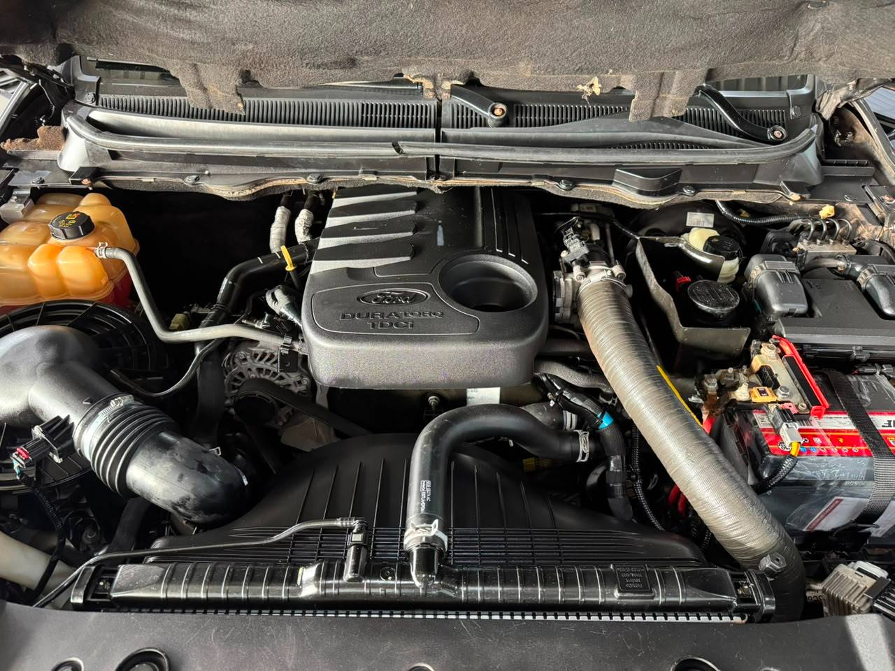 FORD RANGER