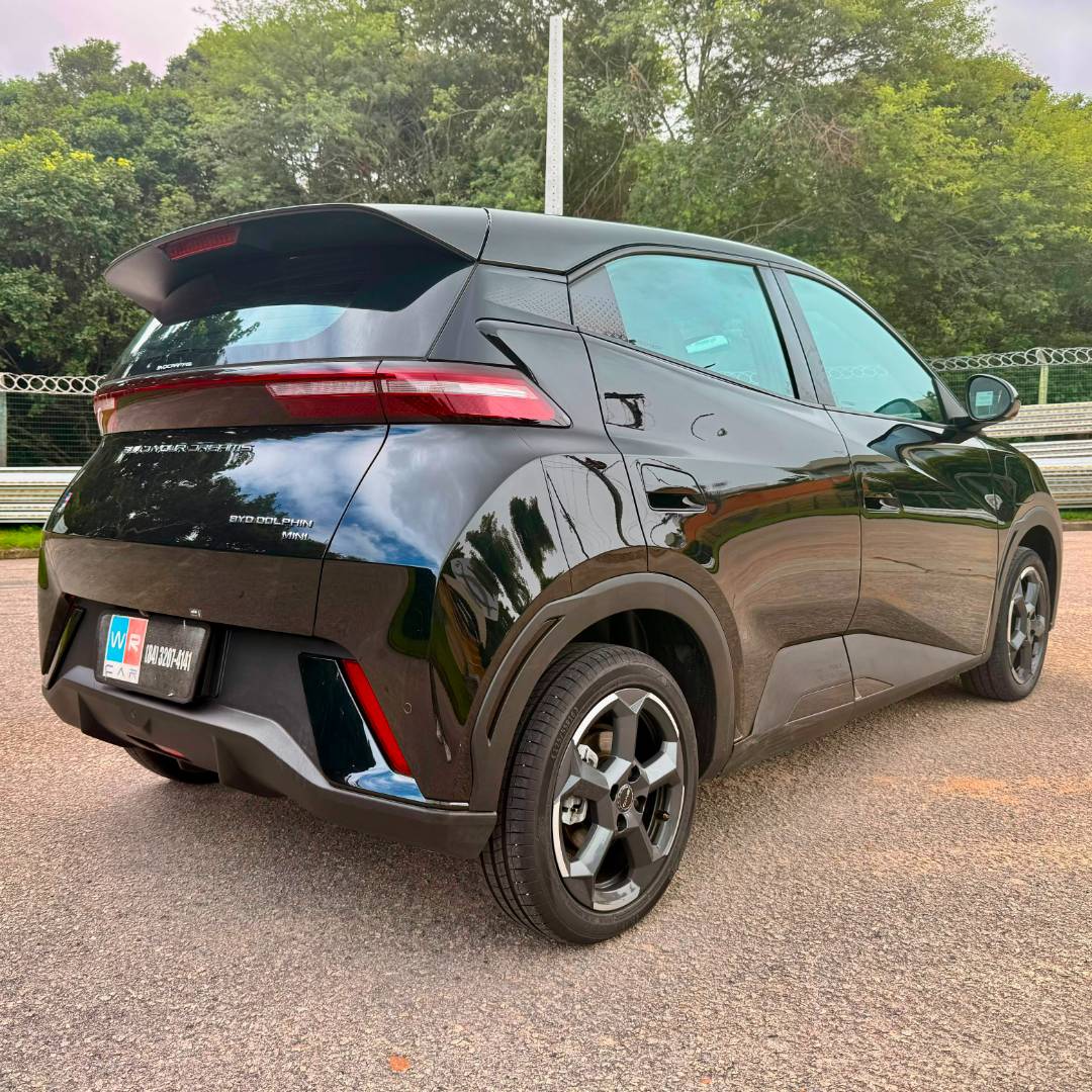 BYD DOLPHIN MINI