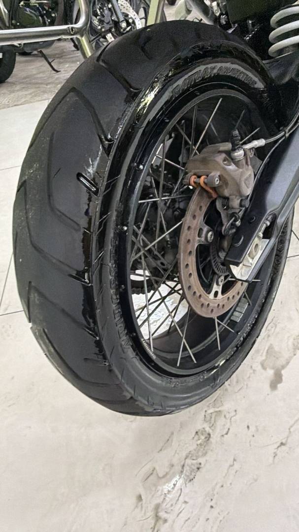 TRIUMPH TIGER 900 RALLY PRO