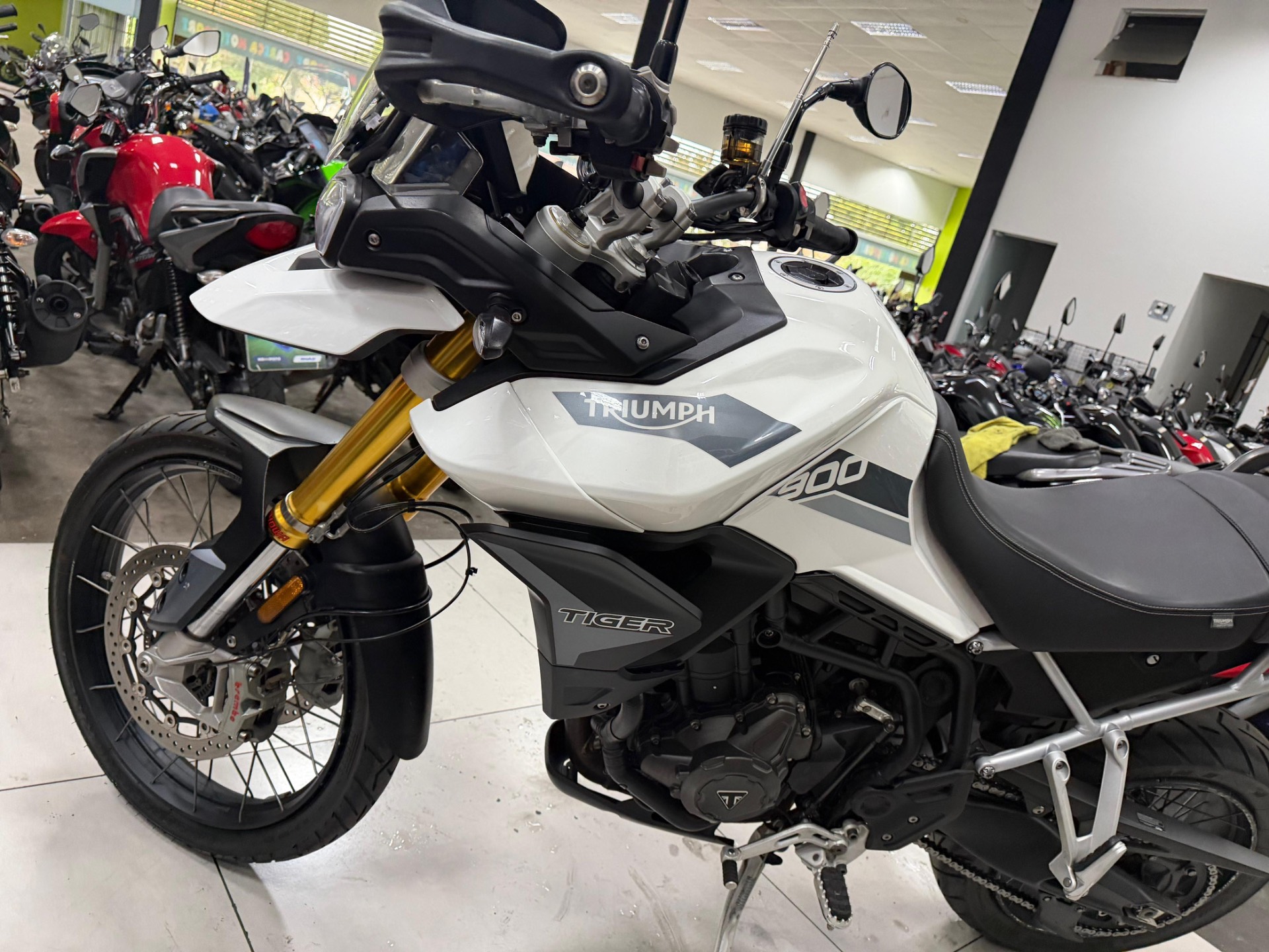 TRIUMPH TIGER 900 RALLY