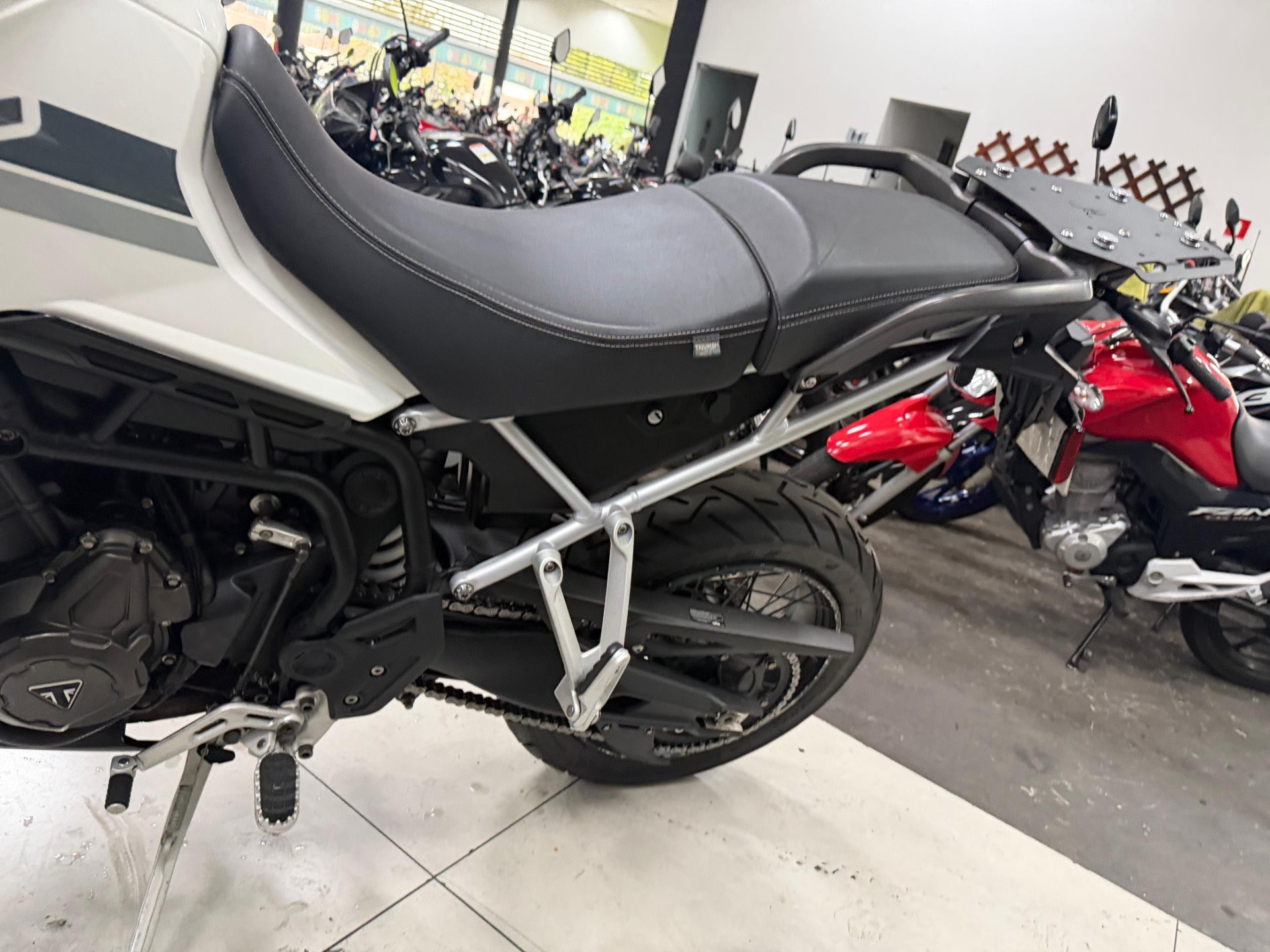 TRIUMPH TIGER 900 RALLY