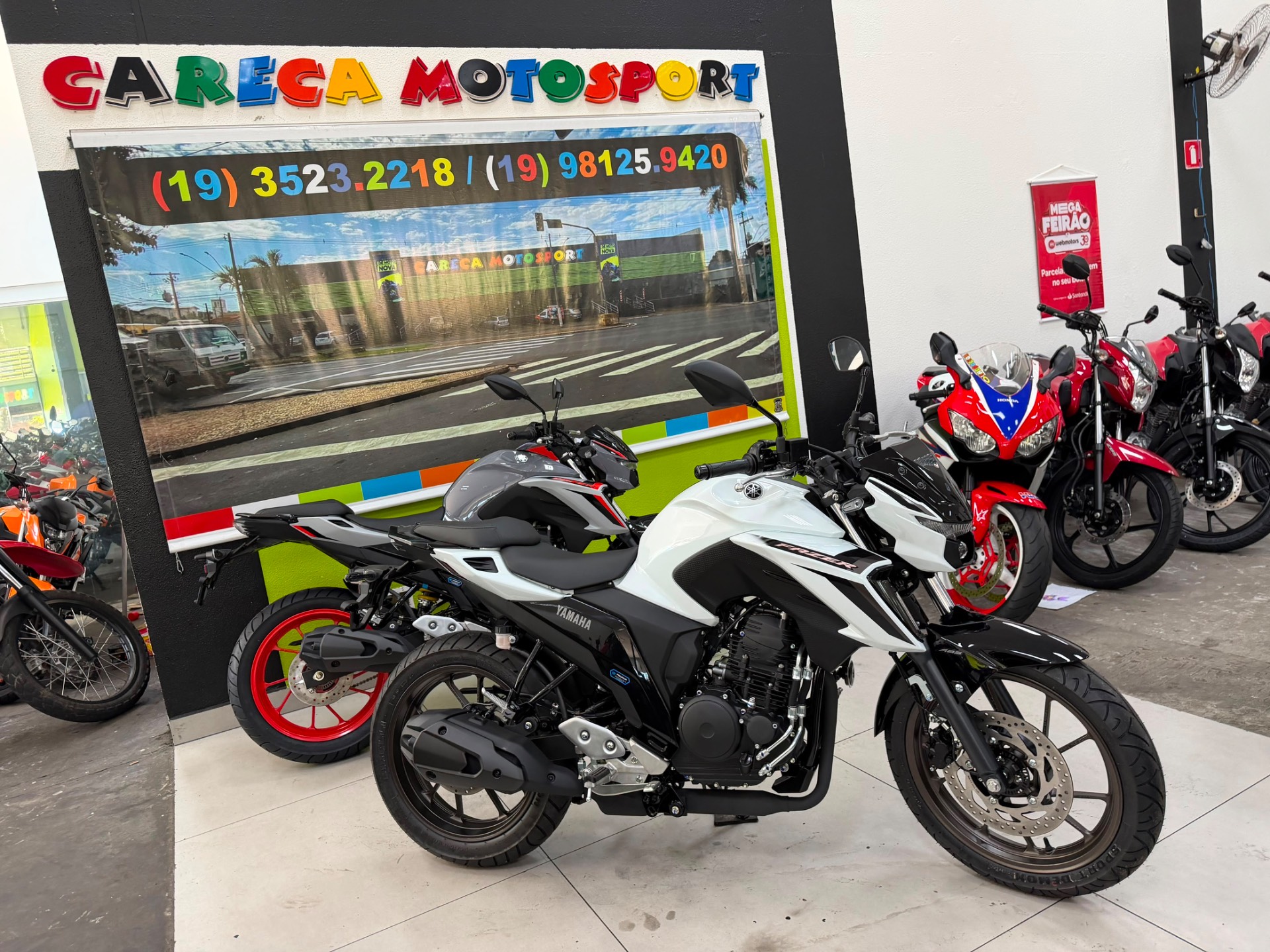 YAMAHA FAZER YS 250