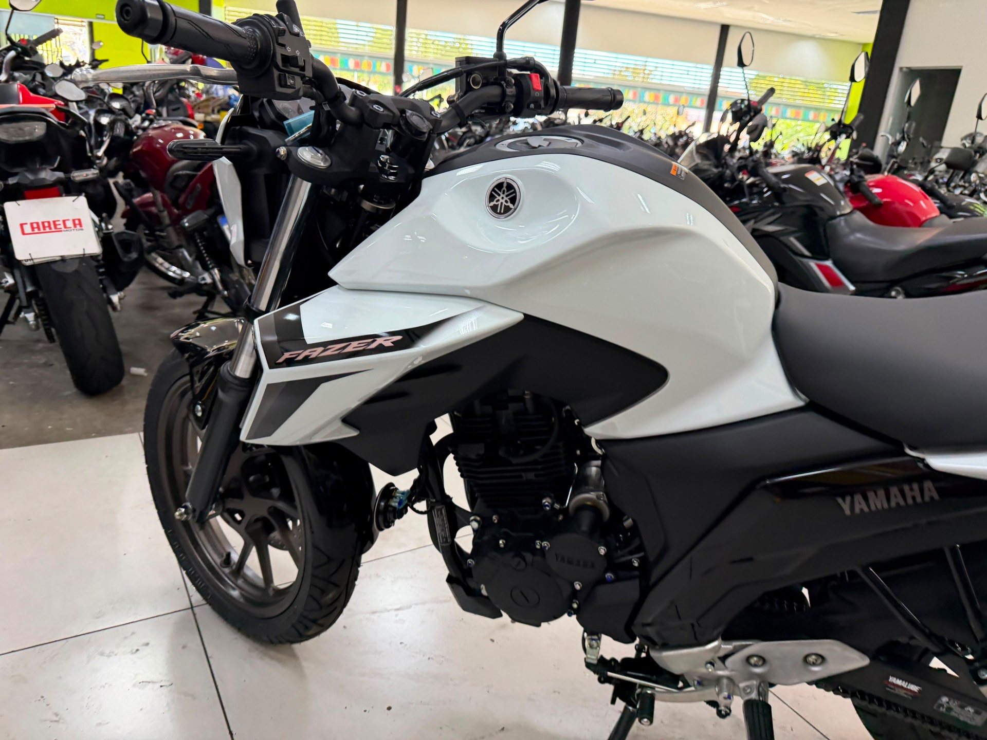 YAMAHA FAZER YS 250