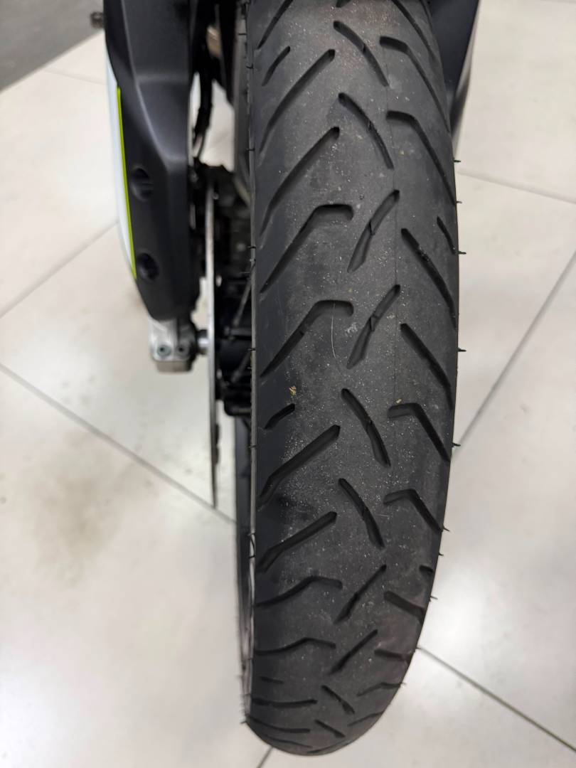 TRIUMPH TIGER 900 RALLY PRO