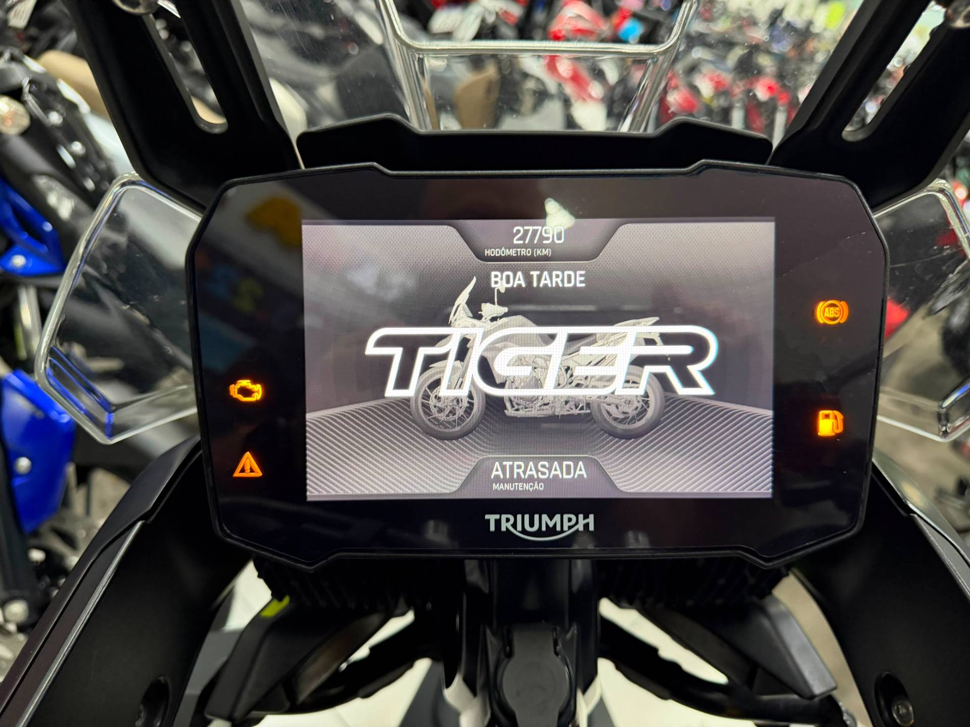 TRIUMPH TIGER 900 RALLY PRO