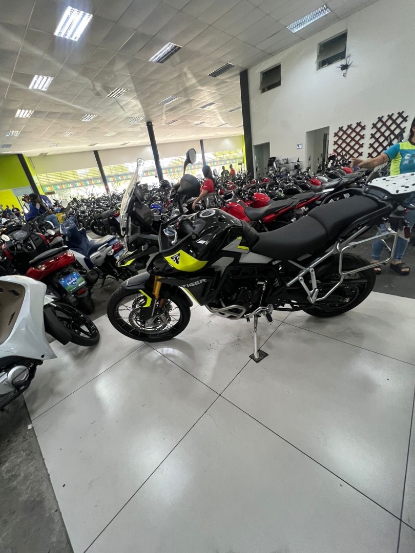 TRIUMPH TIGER 900 RALLY PRO