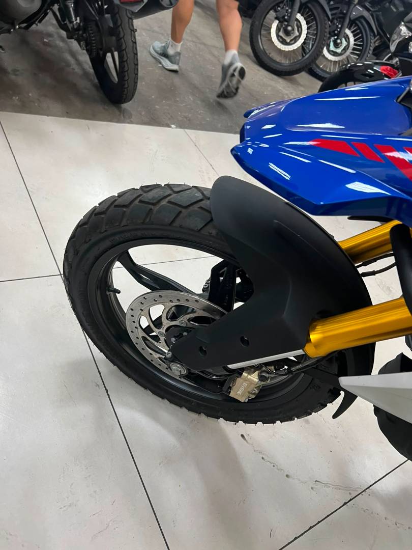 BMW G 310 GS