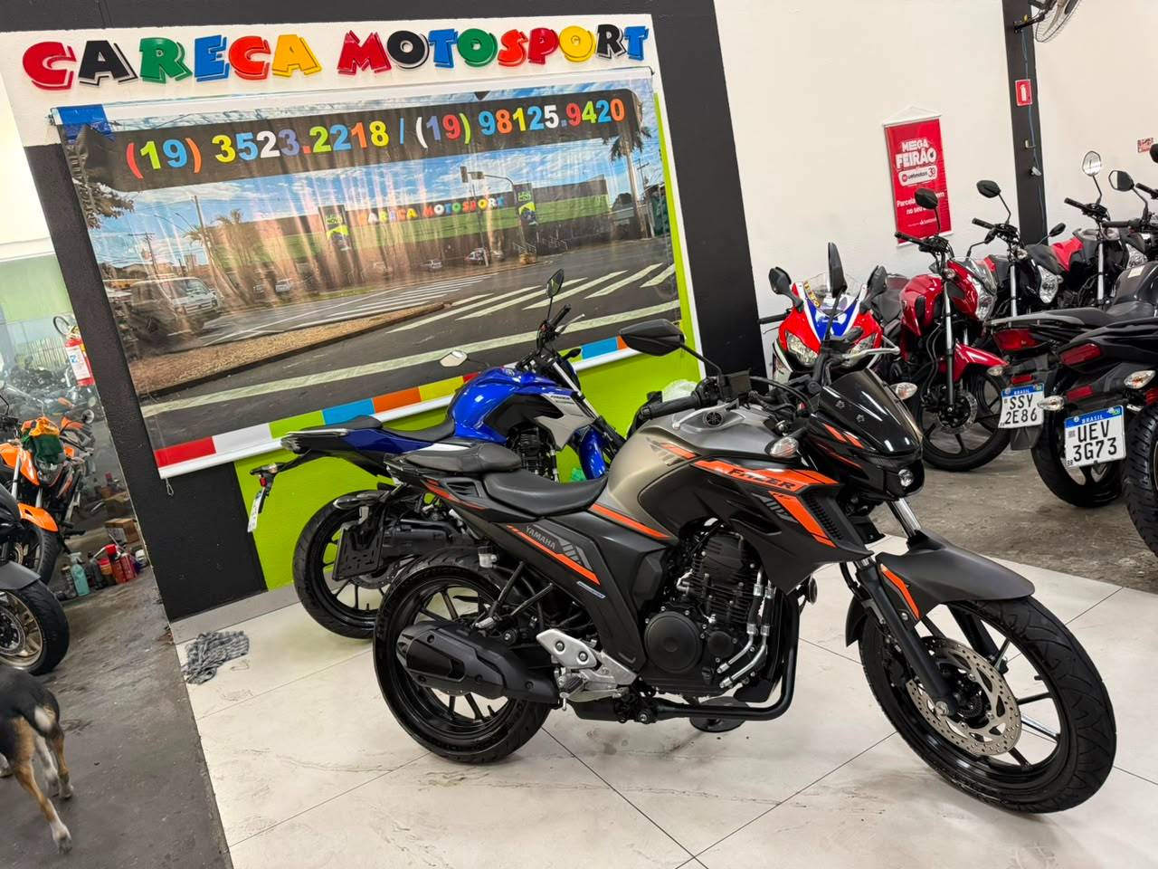 YAMAHA FZ25 FAZER ABS