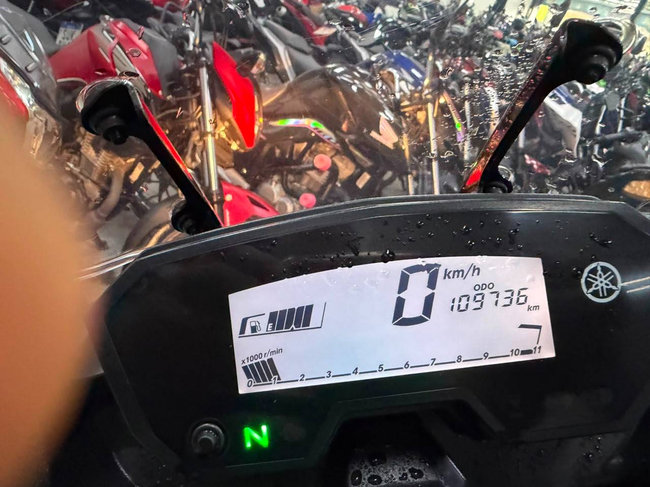 YAMAHA XTZ 250 TENERE BLUEFLEX