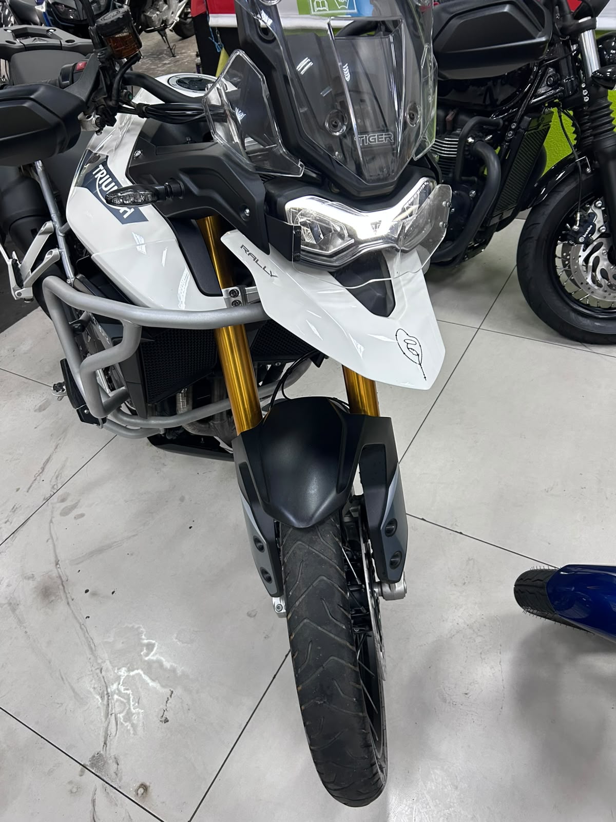 TRIUMPH TIGER 900 RALLY PRO