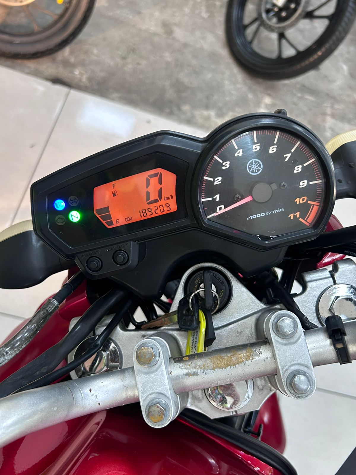 YAMAHA FAZER YS 250