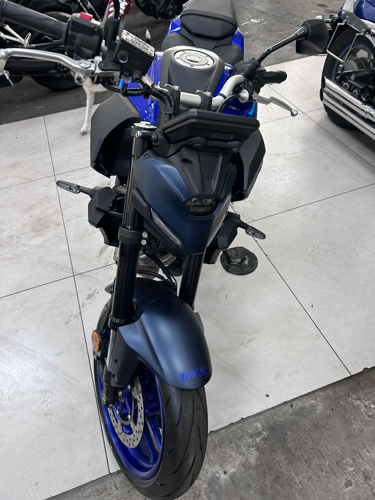 SUZUKI BOULEVARD M800