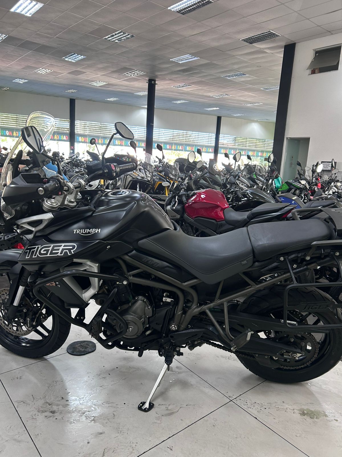 TRIUMPH TIGER 800 XCX