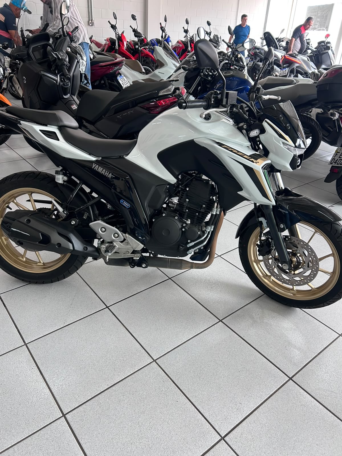 YAMAHA FAZER YS 250