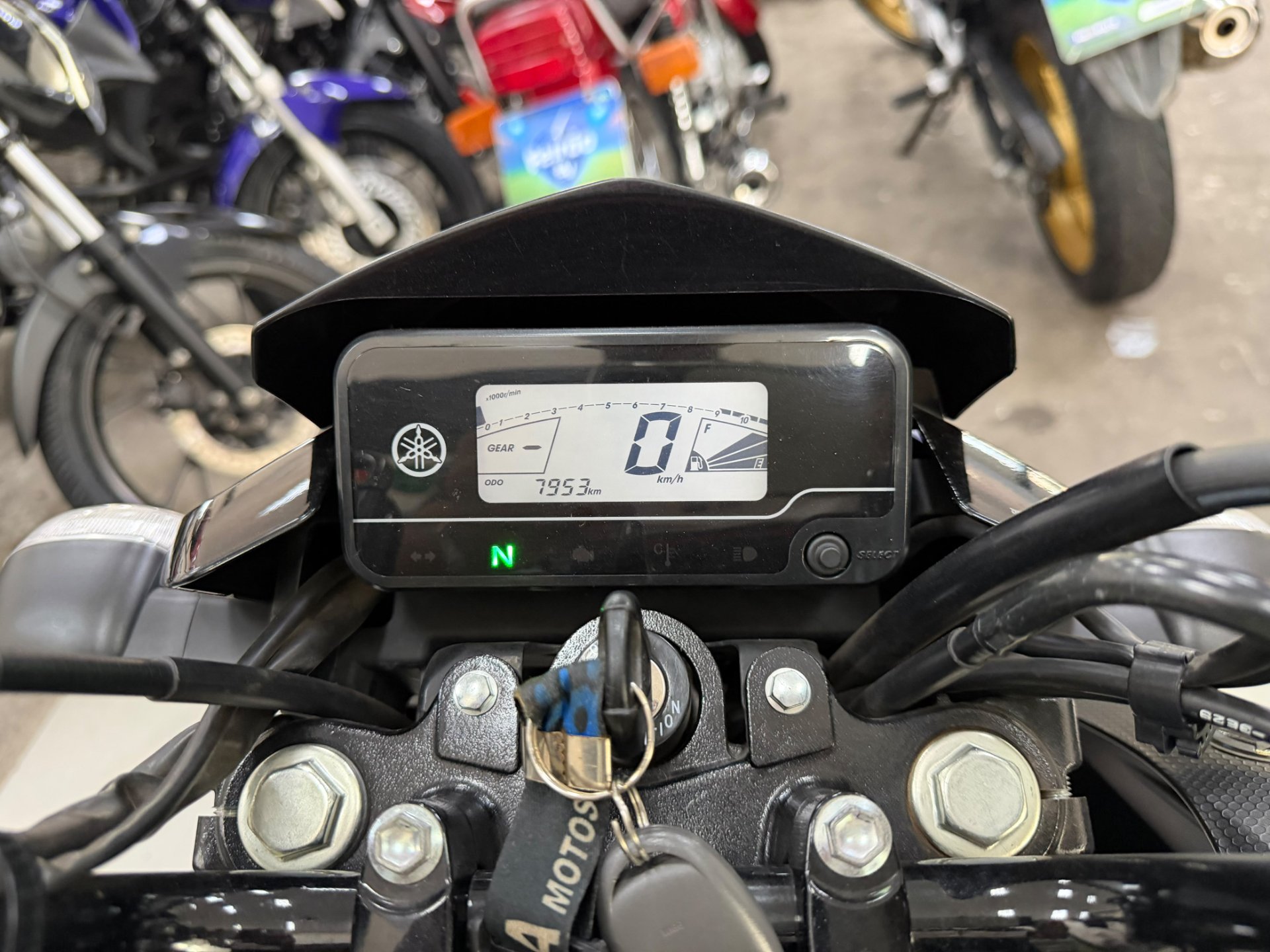 YAMAHA YBR 125 FACTOR ED