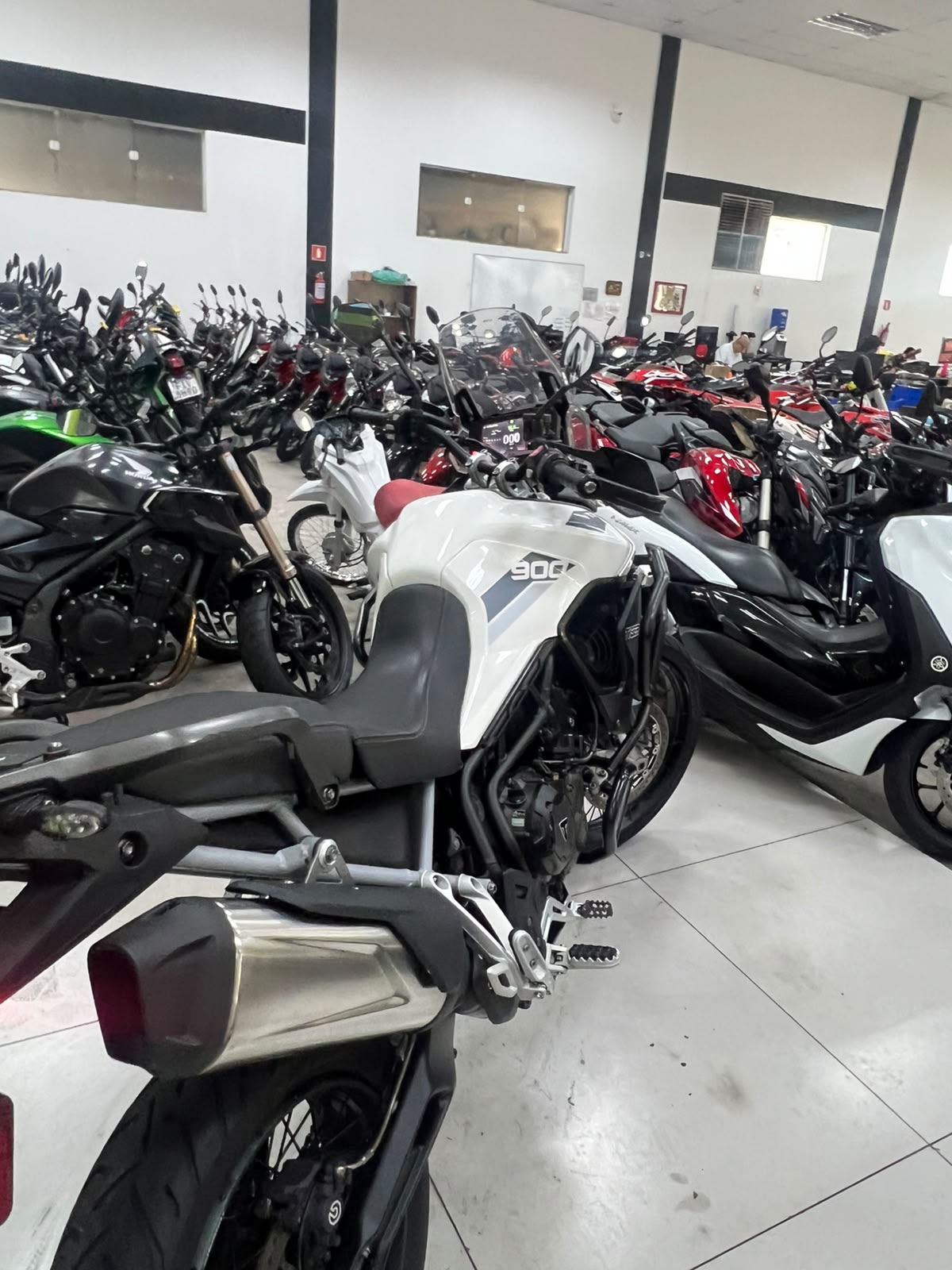 TRIUMPH TIGER 900 RALLY