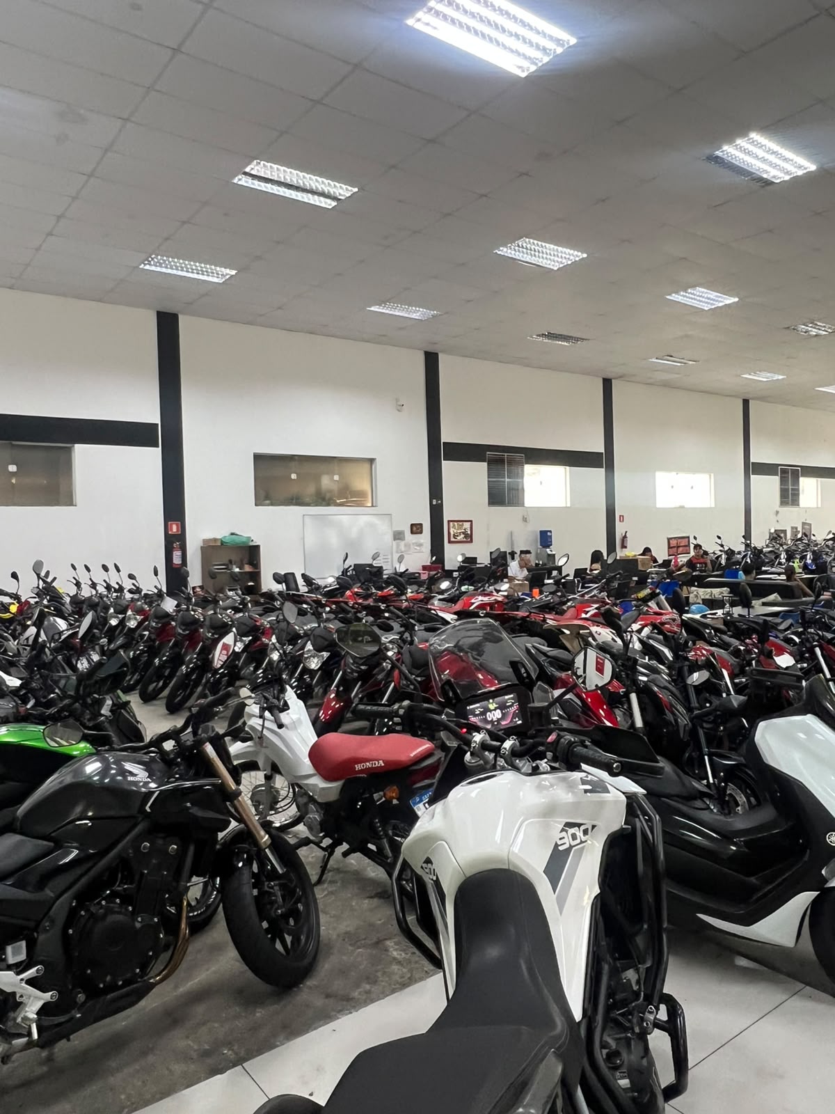 TRIUMPH TIGER 900 RALLY
