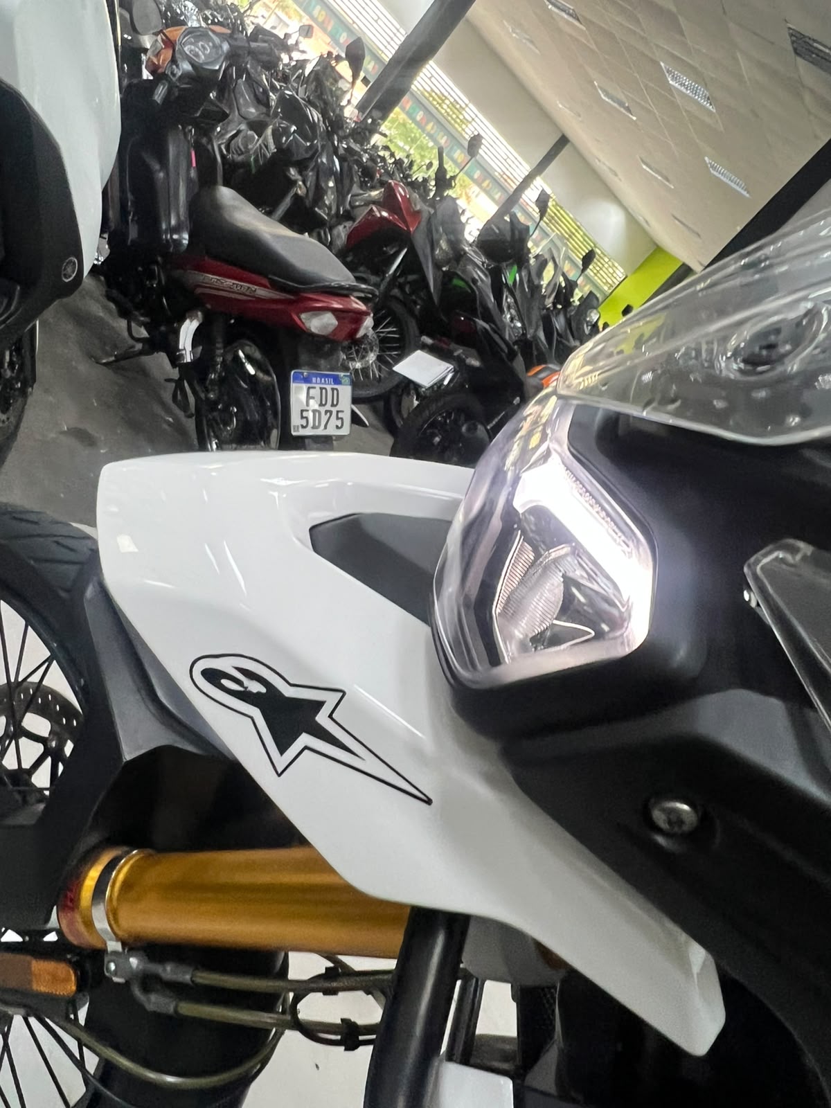TRIUMPH TIGER 900 RALLY