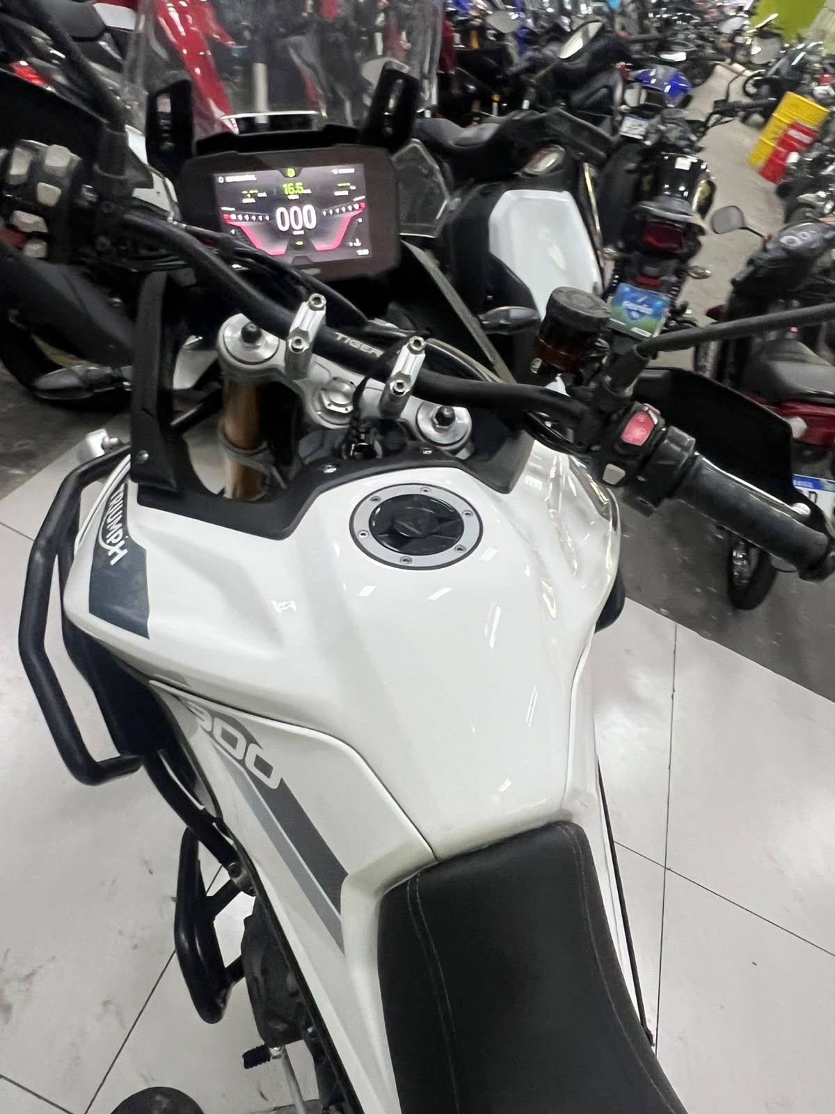 TRIUMPH TIGER 900 RALLY