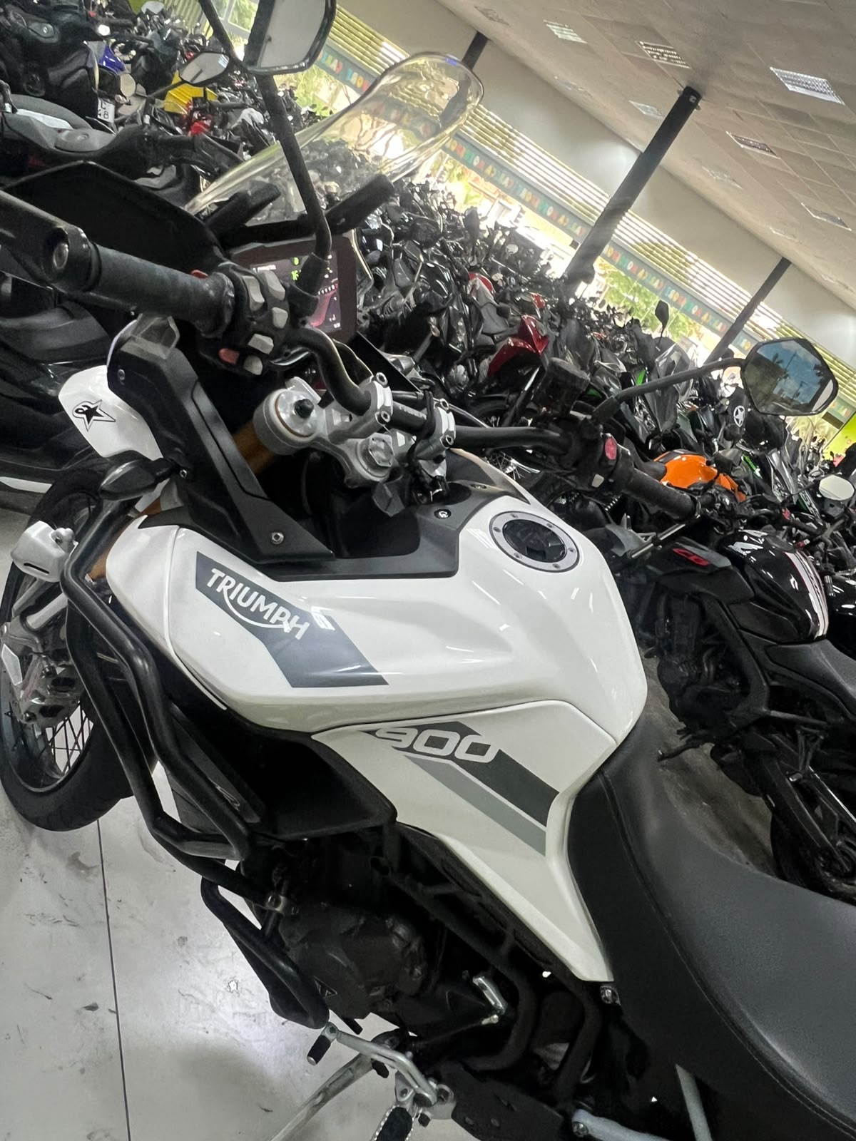 TRIUMPH TIGER 900 RALLY