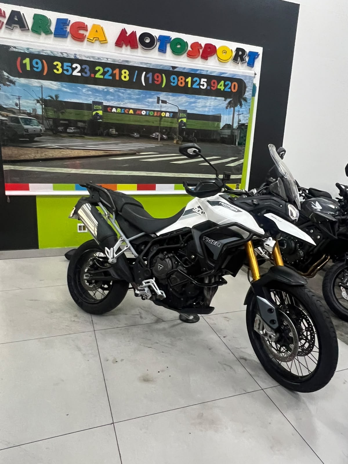 TRIUMPH TIGER 900 RALLY