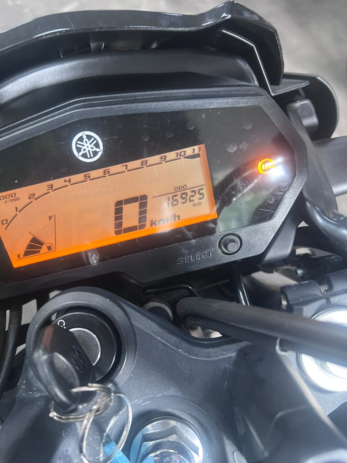 YAMAHA FAZER YS 250