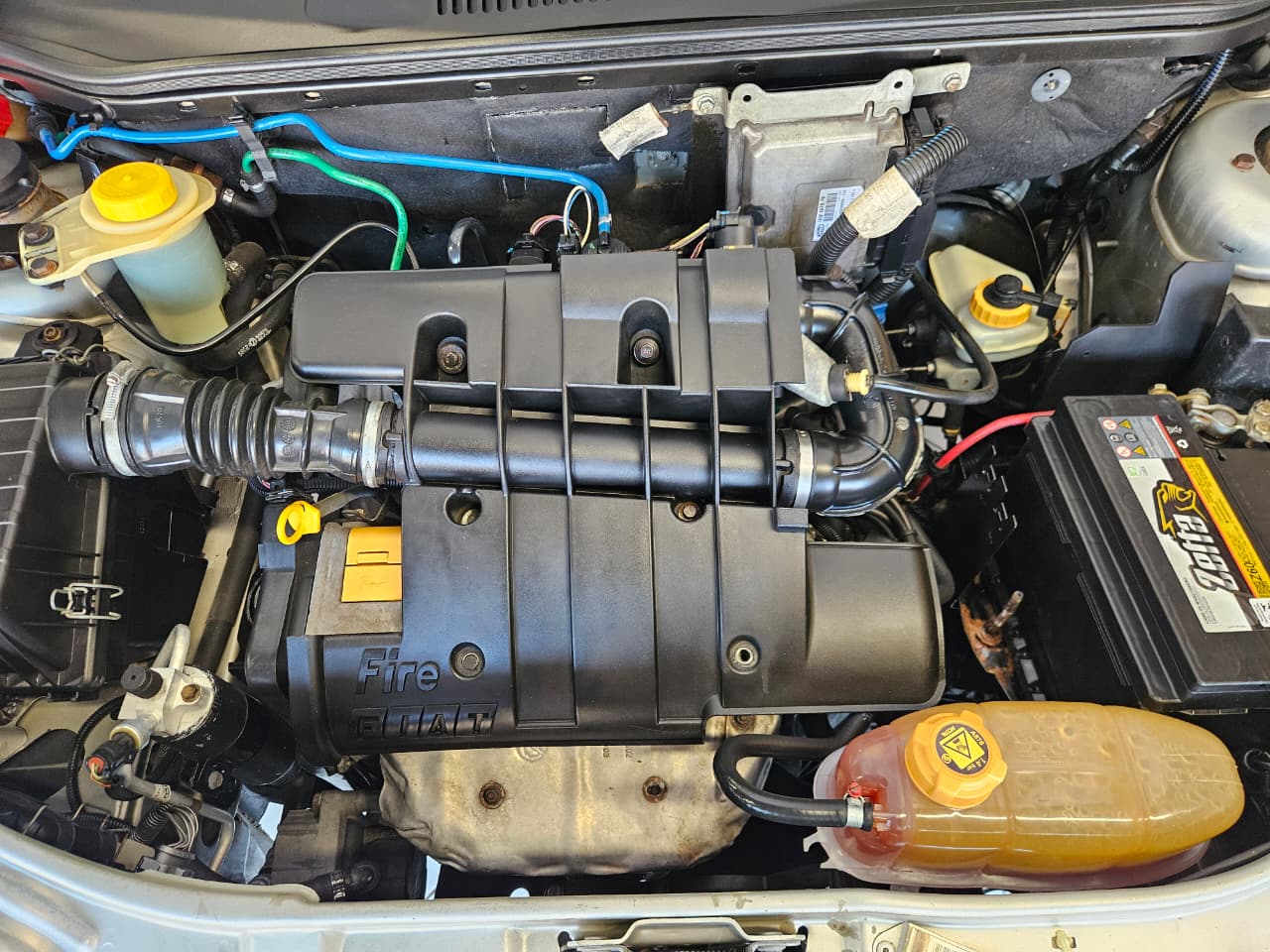 FIAT PALIO