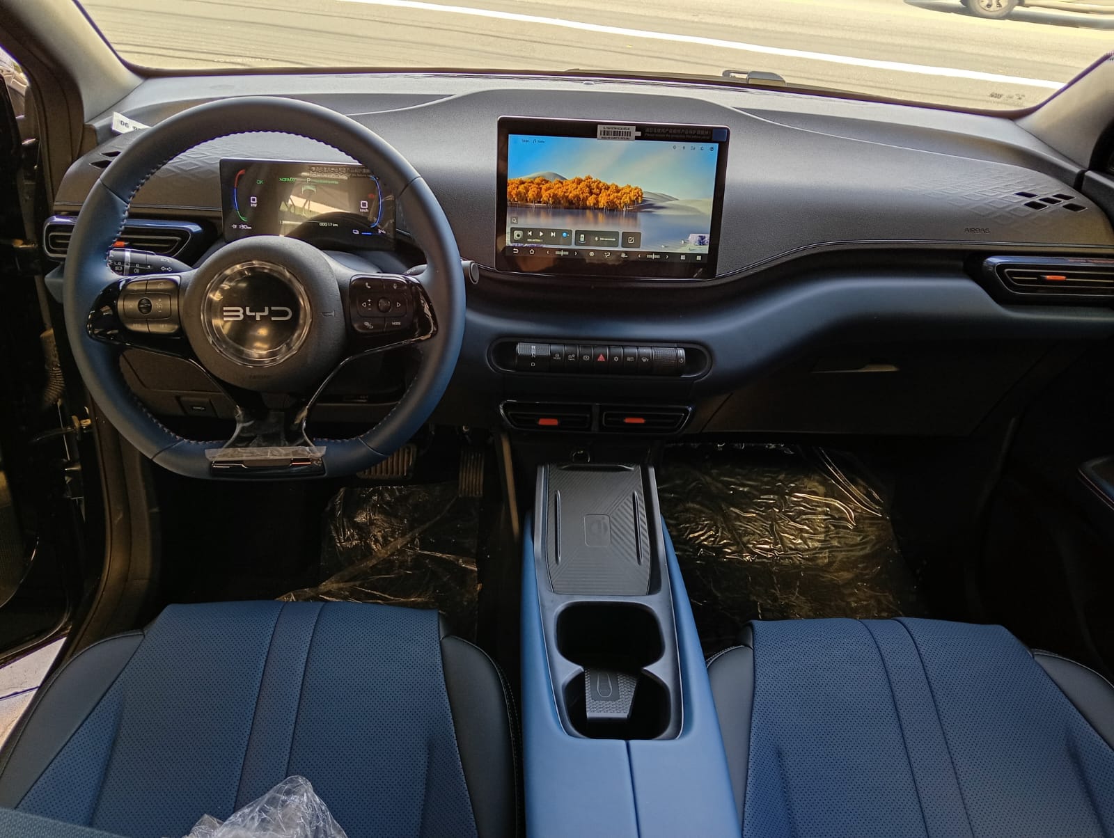 BYD DOLPHIN MINI