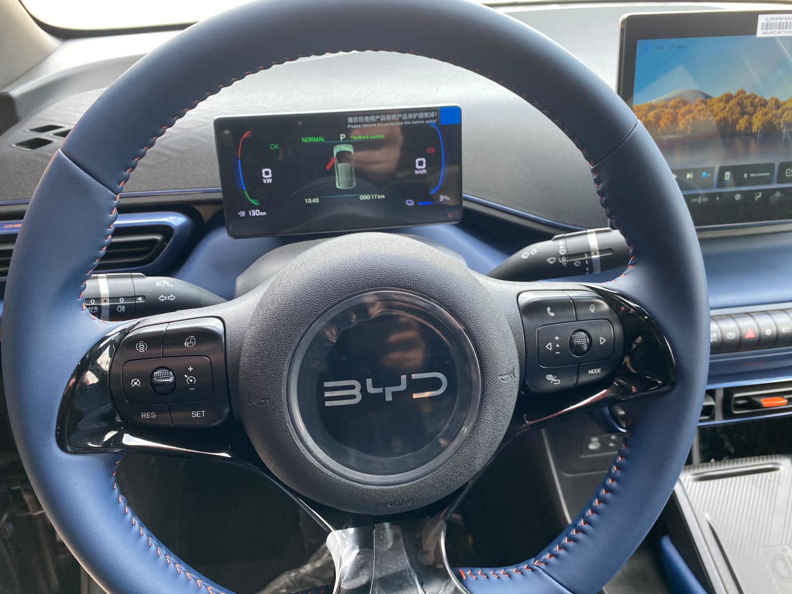 BYD DOLPHIN MINI