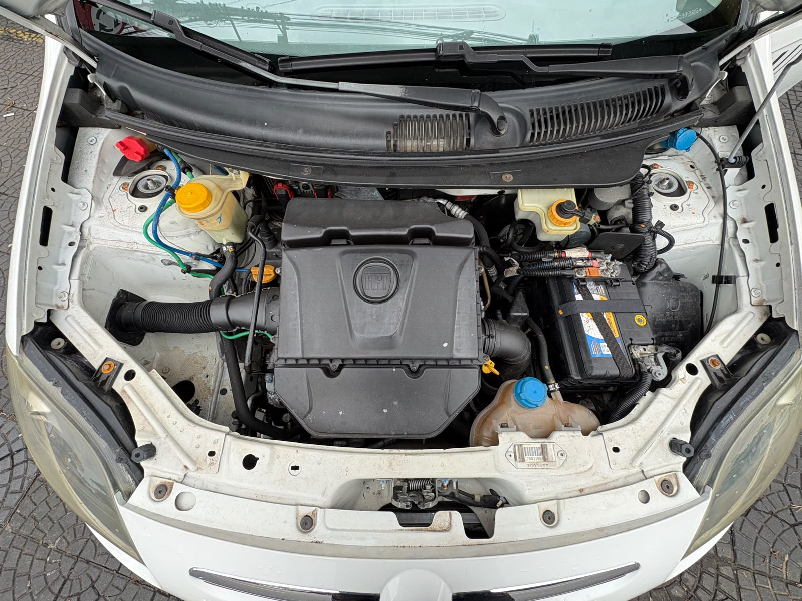 FIAT PALIO