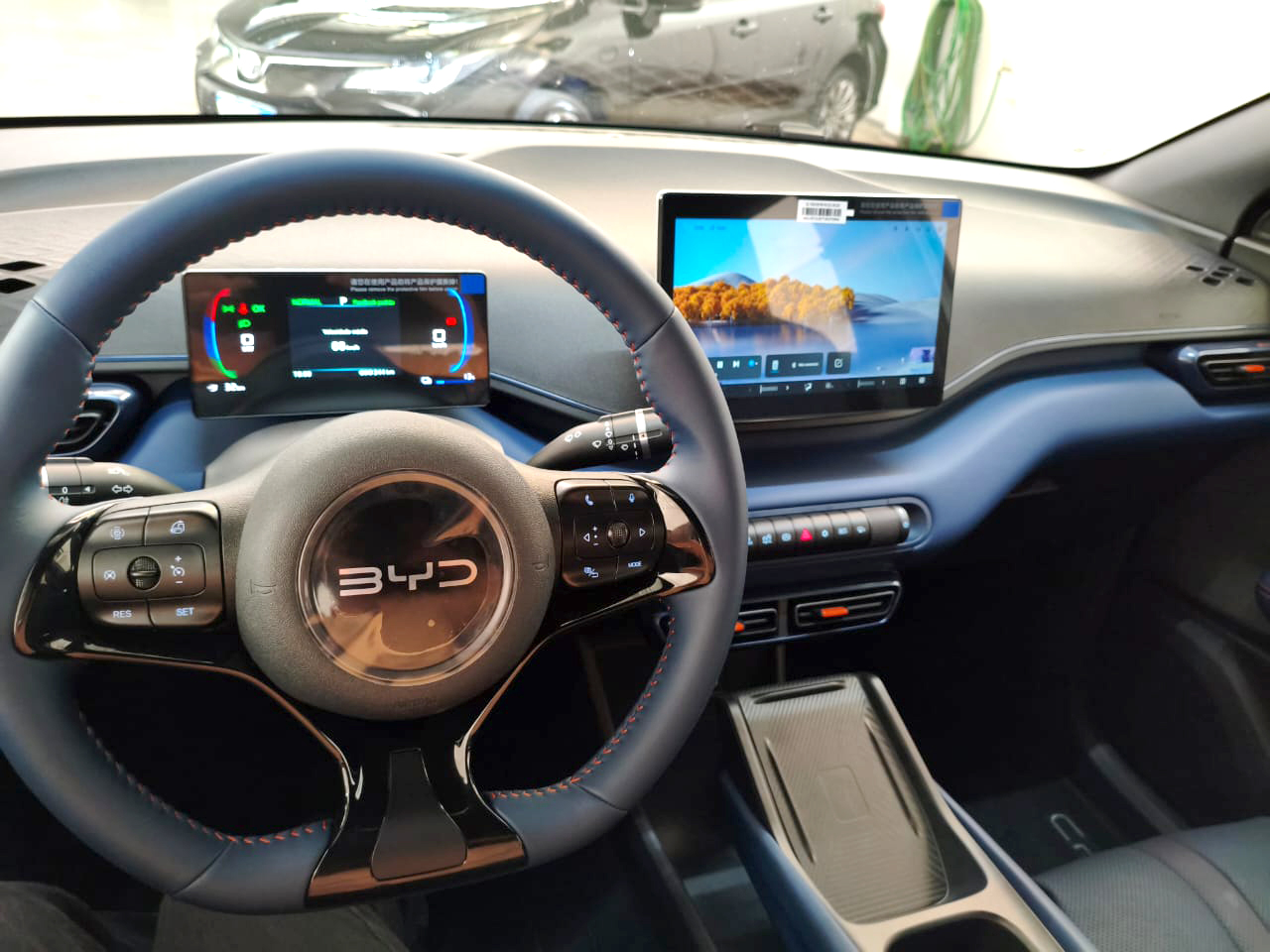 BYD DOLPHIN MINI