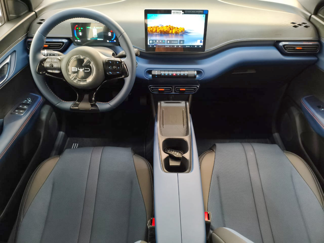 BYD DOLPHIN MINI