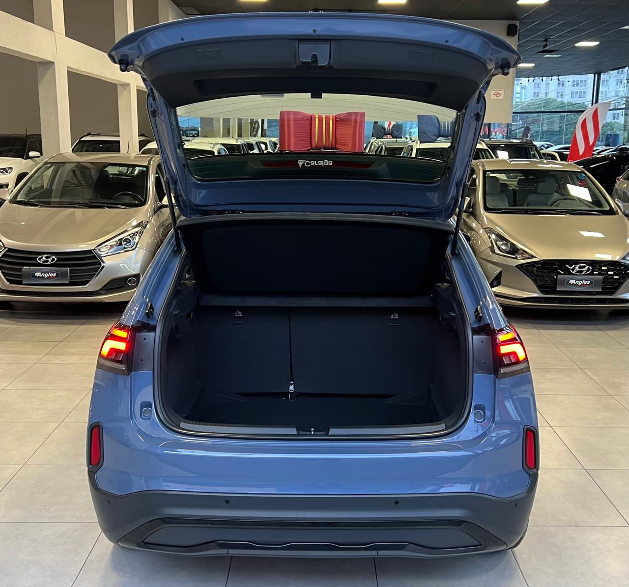 VOLKSWAGEN NIVUS