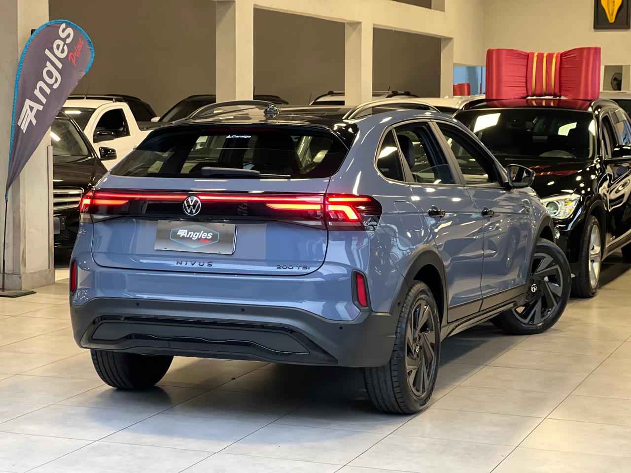 VOLKSWAGEN NIVUS