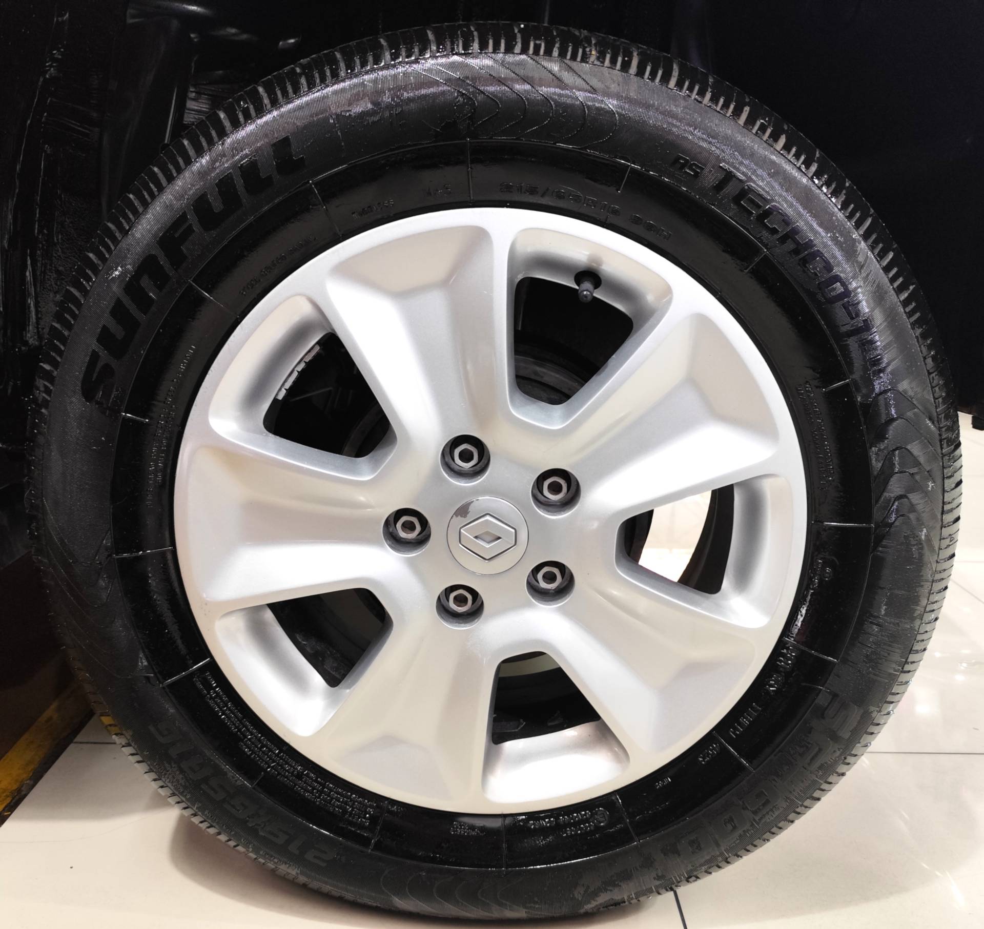 RENAULT DUSTER