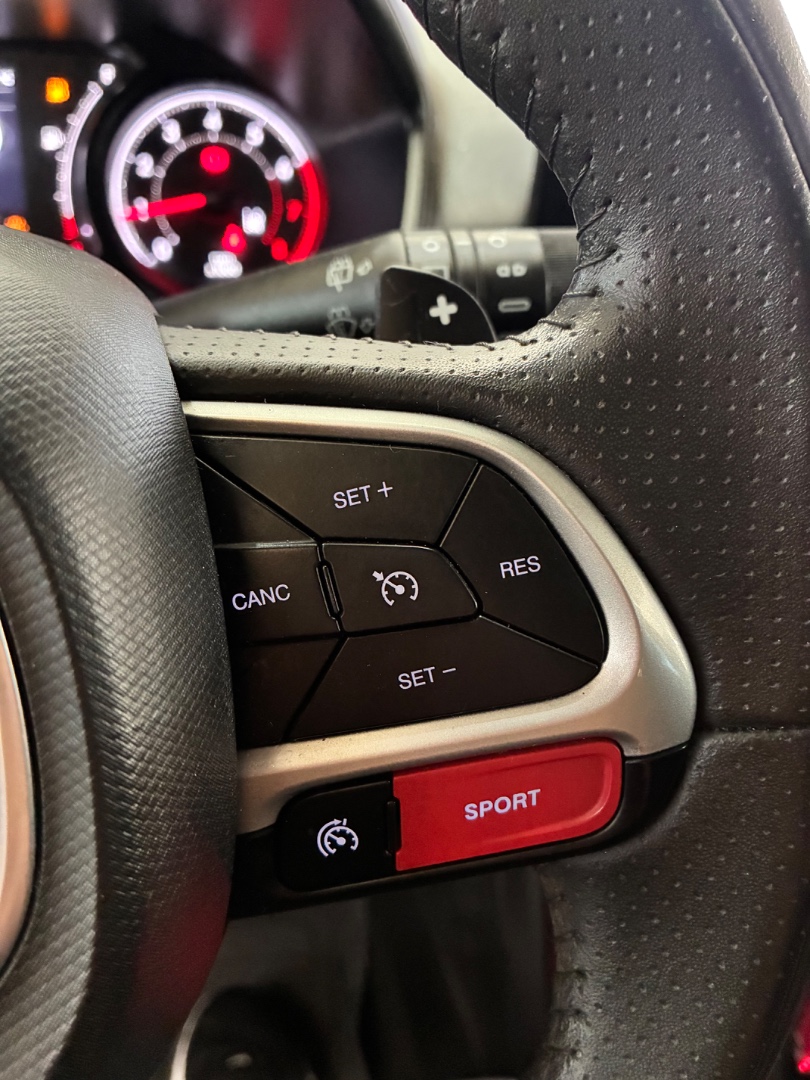 FIAT PULSE