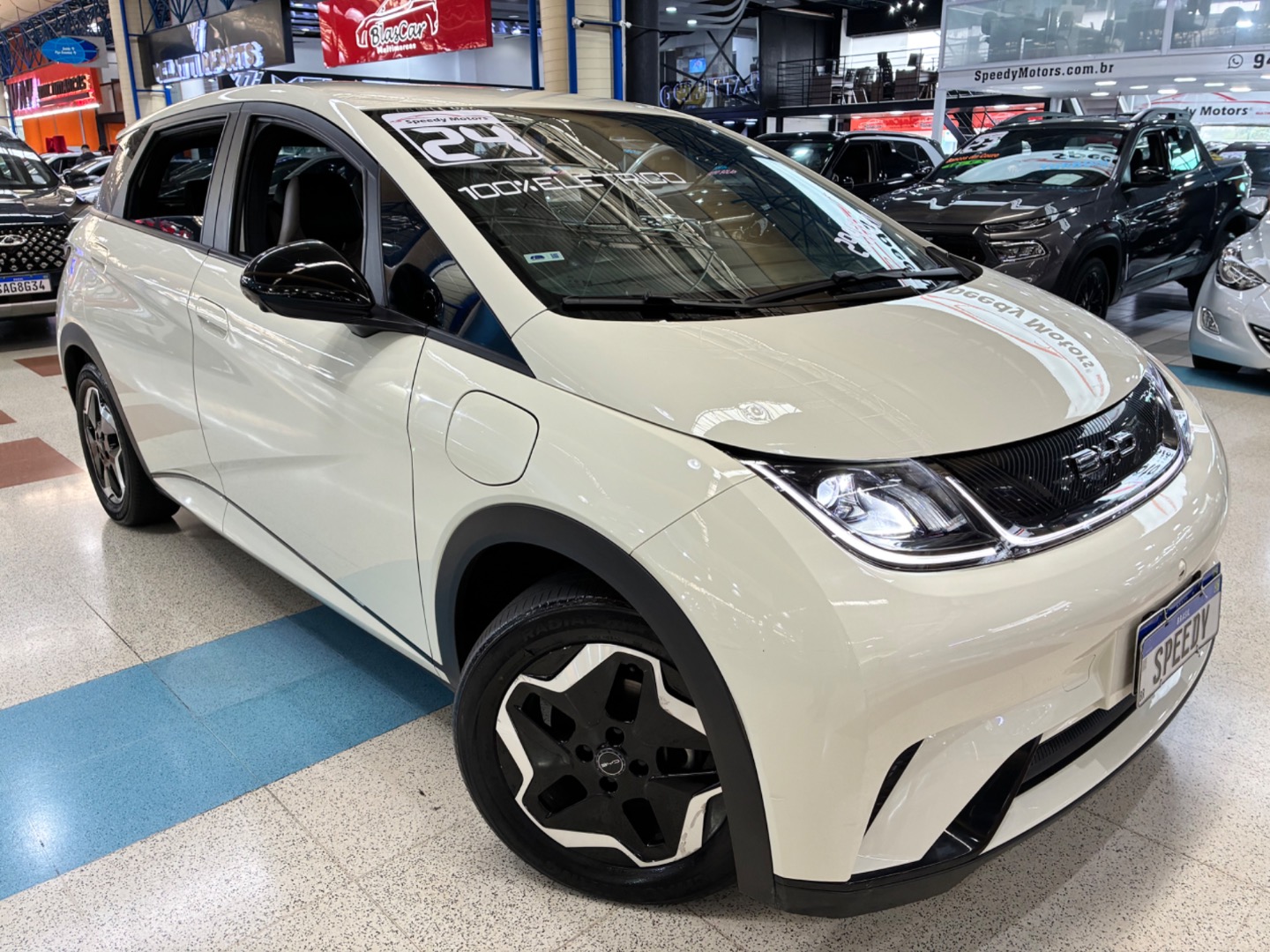 BYD DOLPHIN