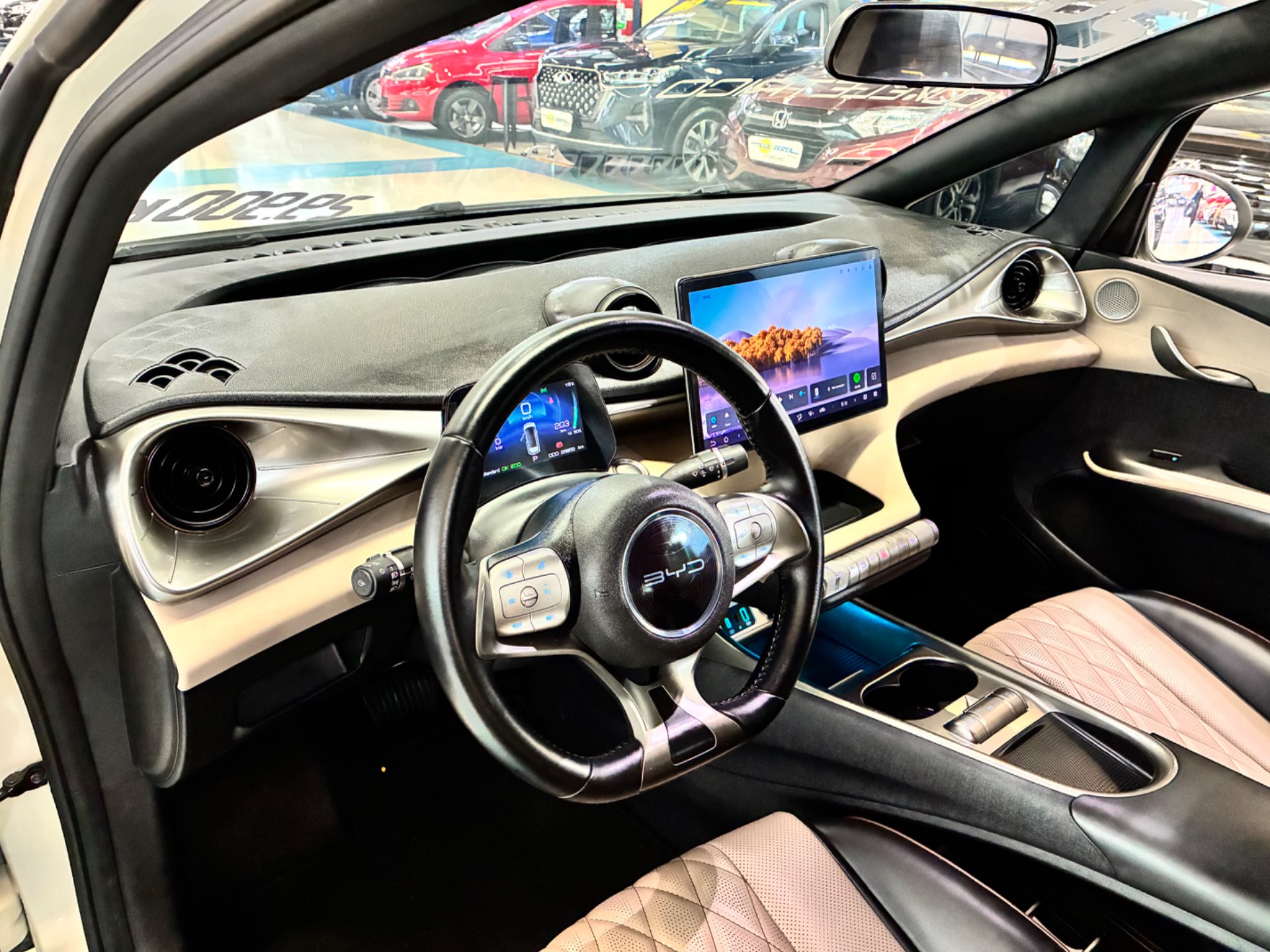 BYD DOLPHIN