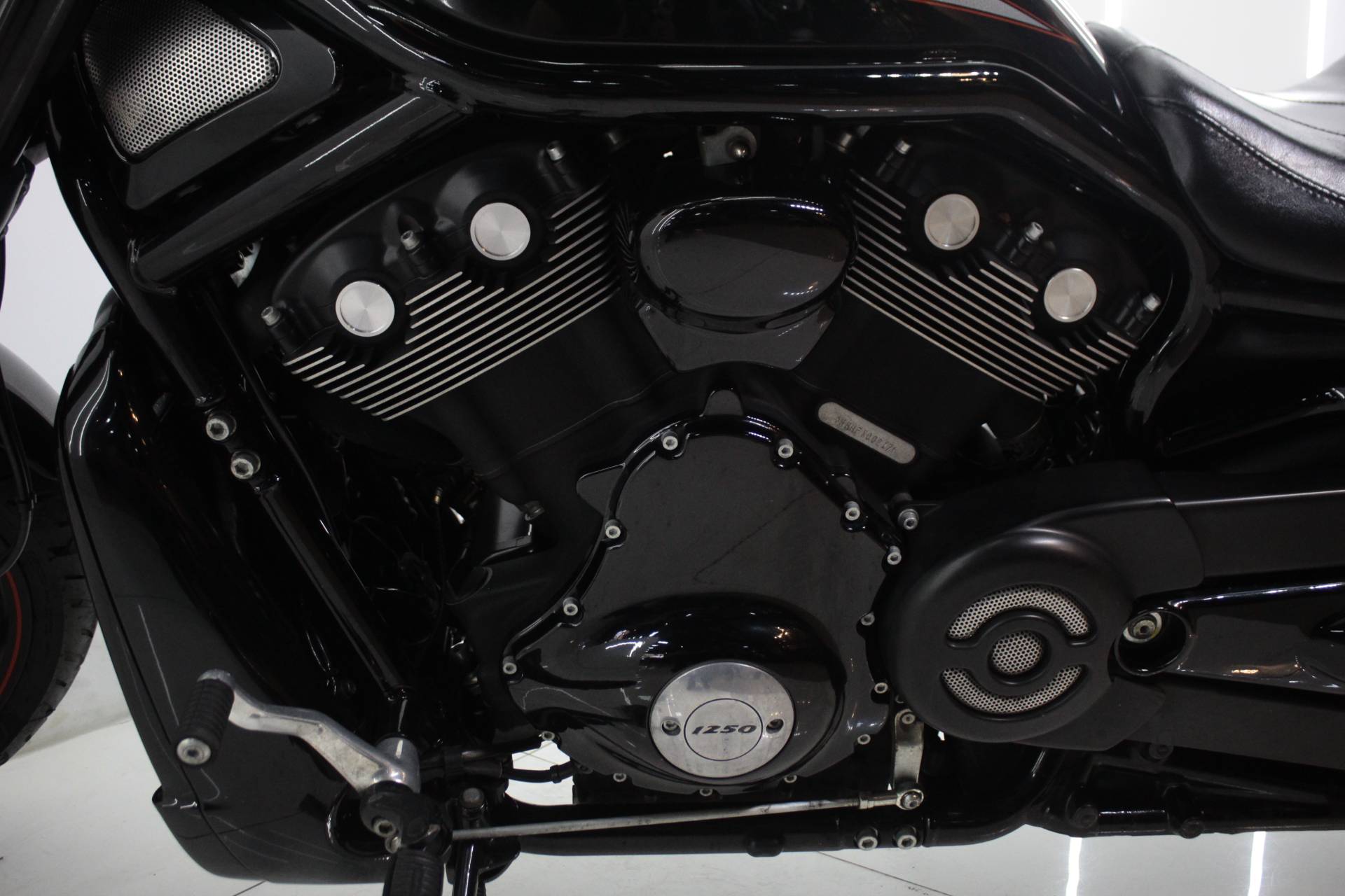 HARLEY-DAVIDSON V ROD MUSCLE