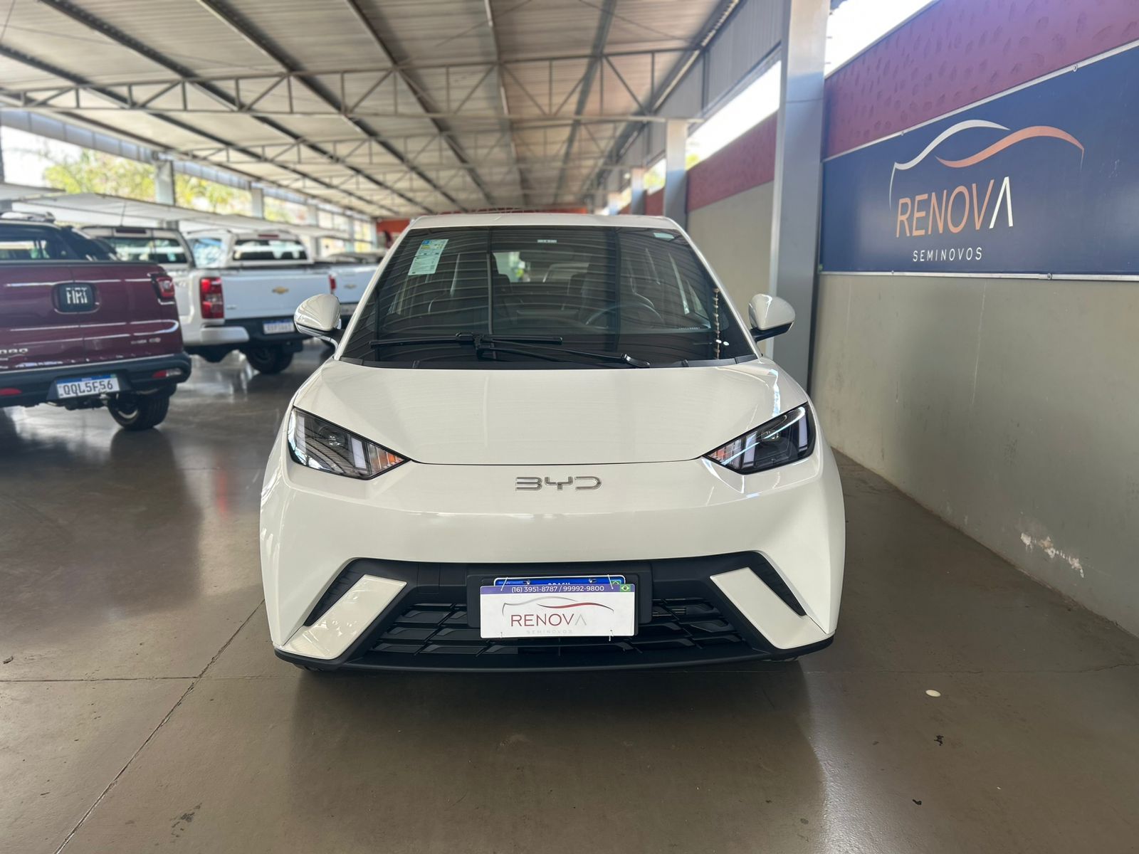 BYD DOLPHIN