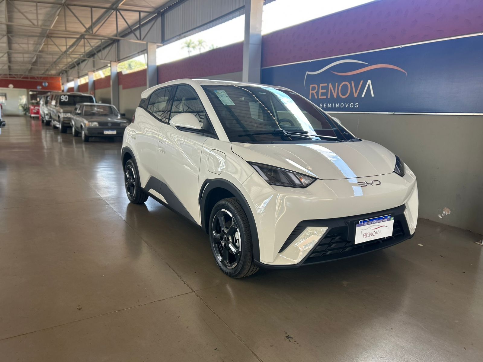 BYD DOLPHIN