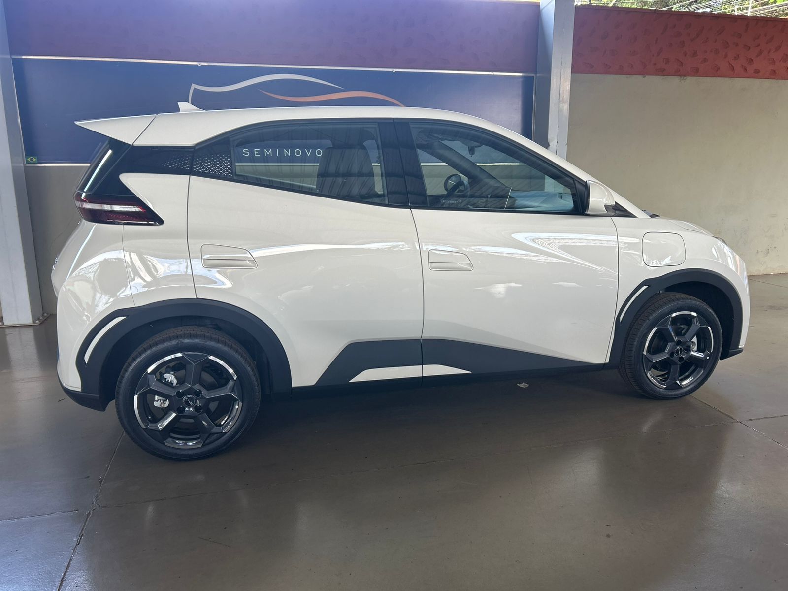 BYD DOLPHIN