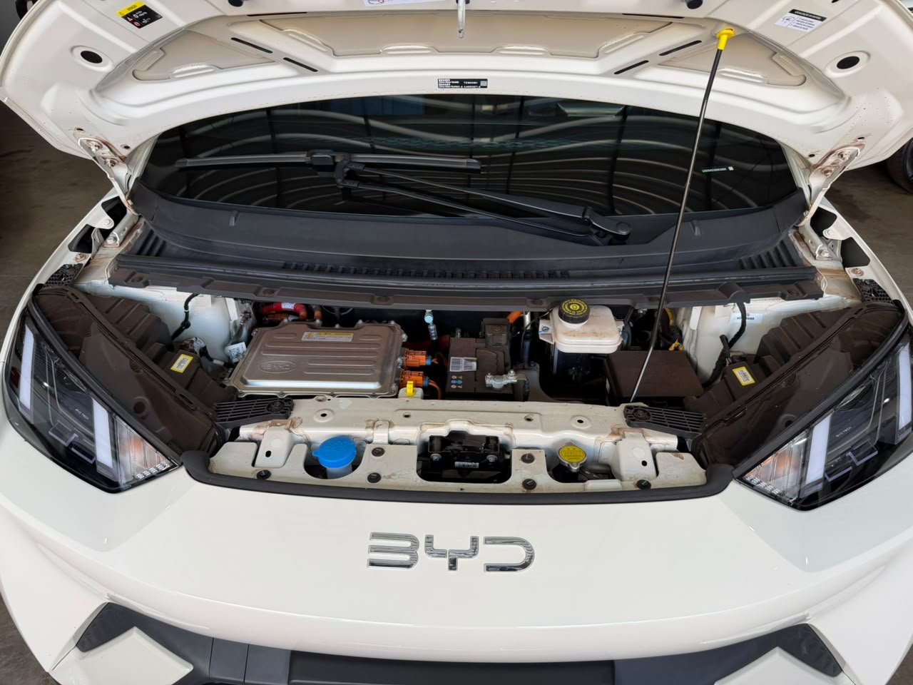 BYD DOLPHIN MINI
