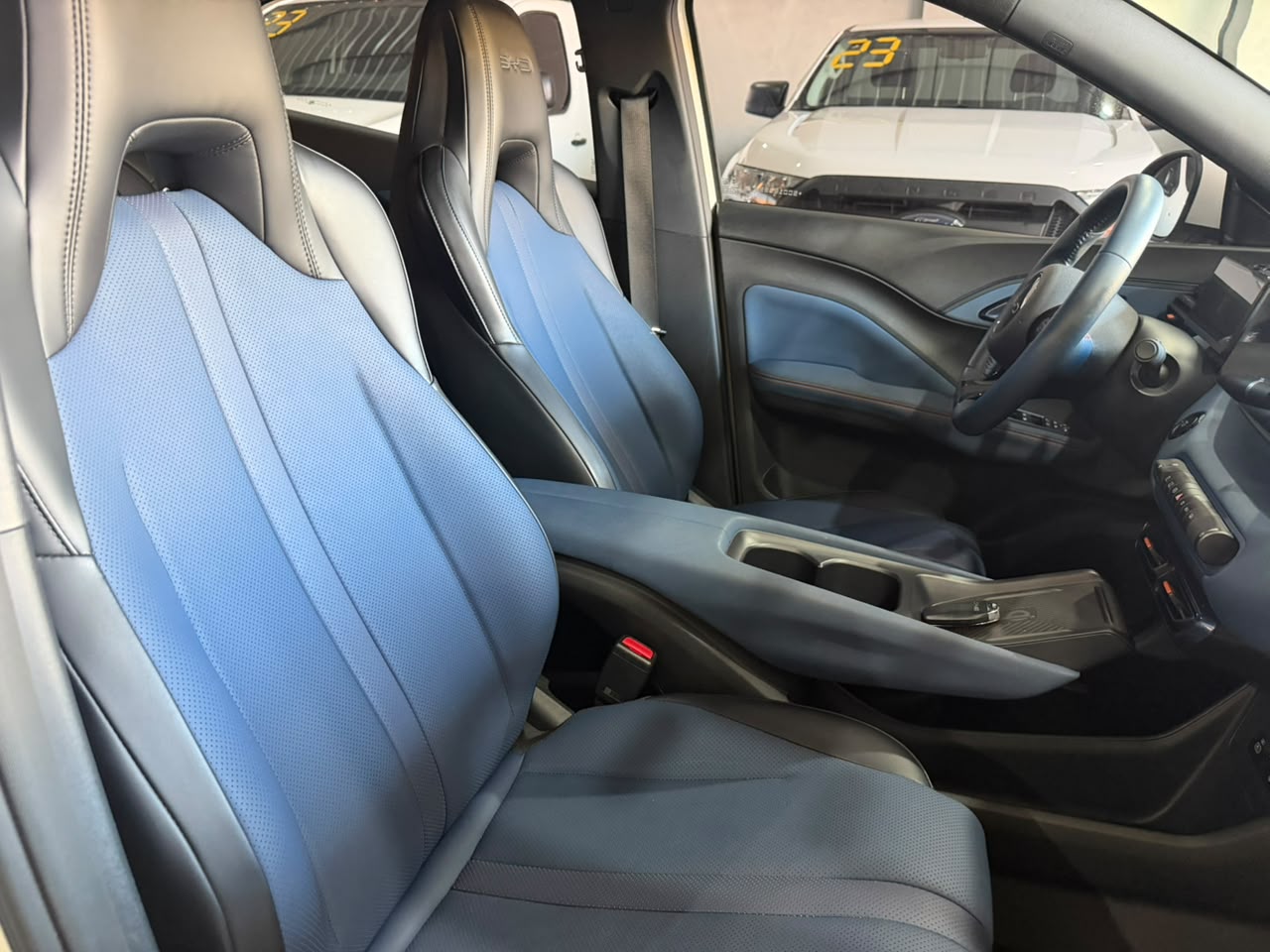 BYD DOLPHIN MINI