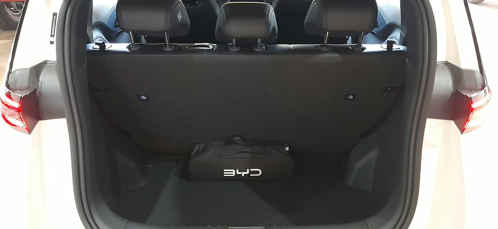 BYD DOLPHIN MINI